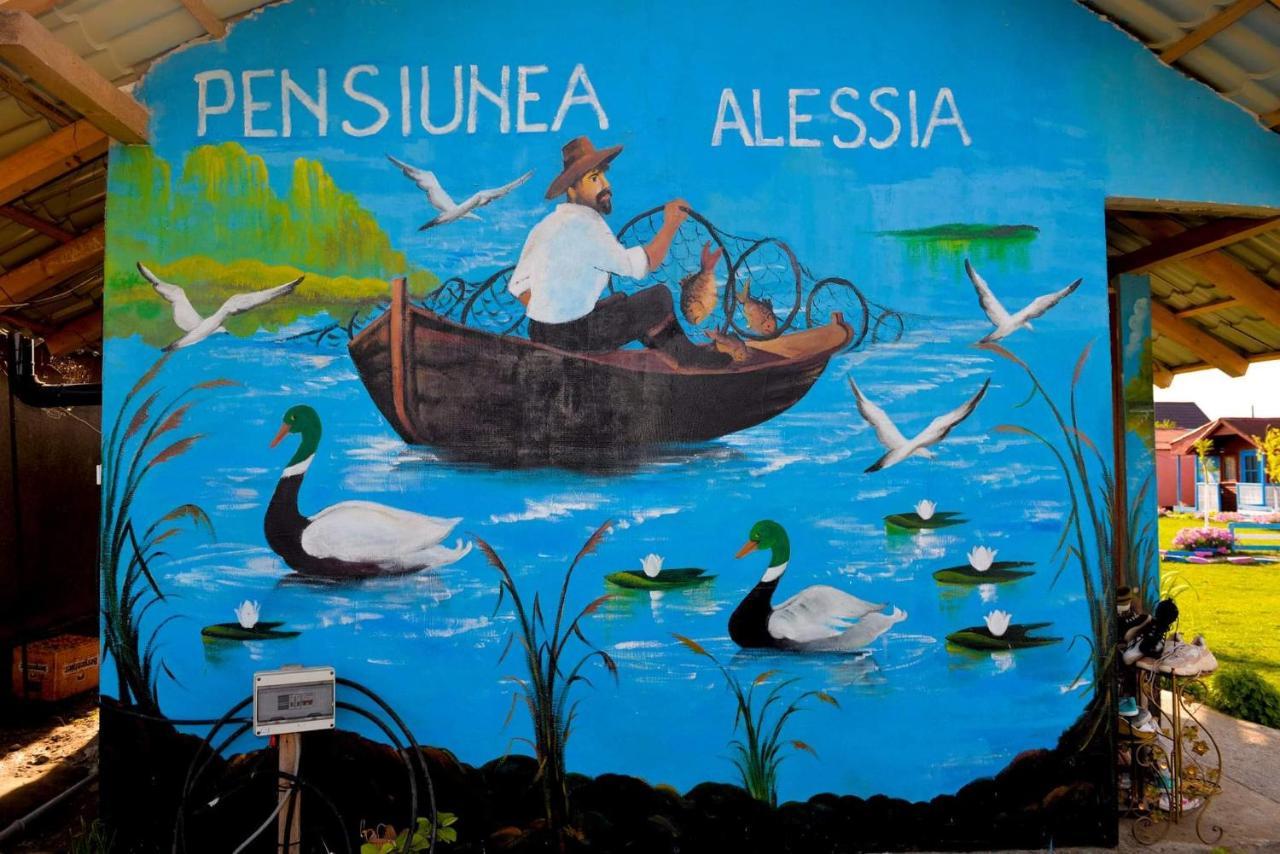 Pensiunea Alessia Murighiol Zewnętrze zdjęcie